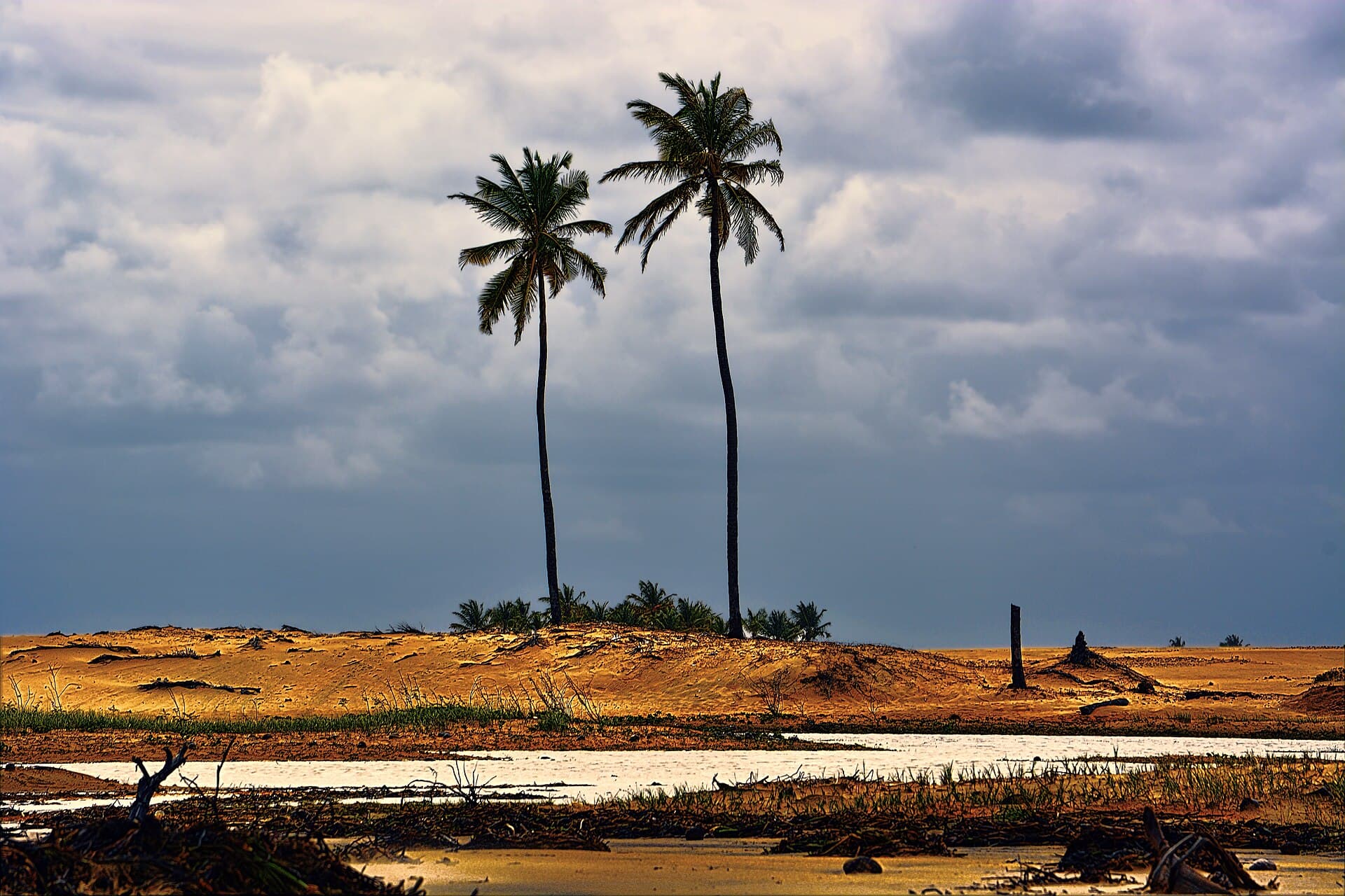 Foz do Rio São Francisco, litoral de Sergipe, paisagem com palmeiras e dunas
